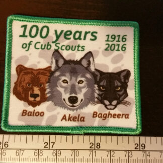 100 Years of Cub Scouts