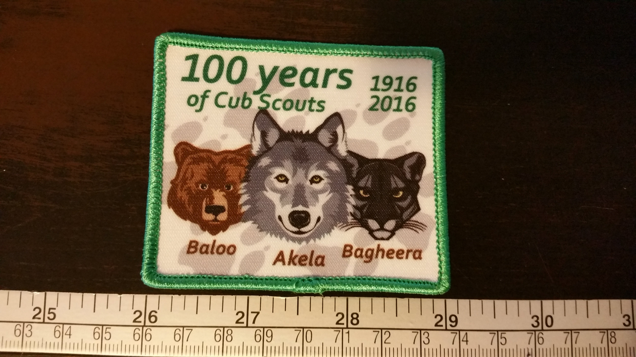 100 Years of Cub Scouts