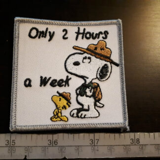 Only 2 hours a week