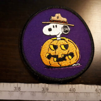 Snoopy Pumpkin
