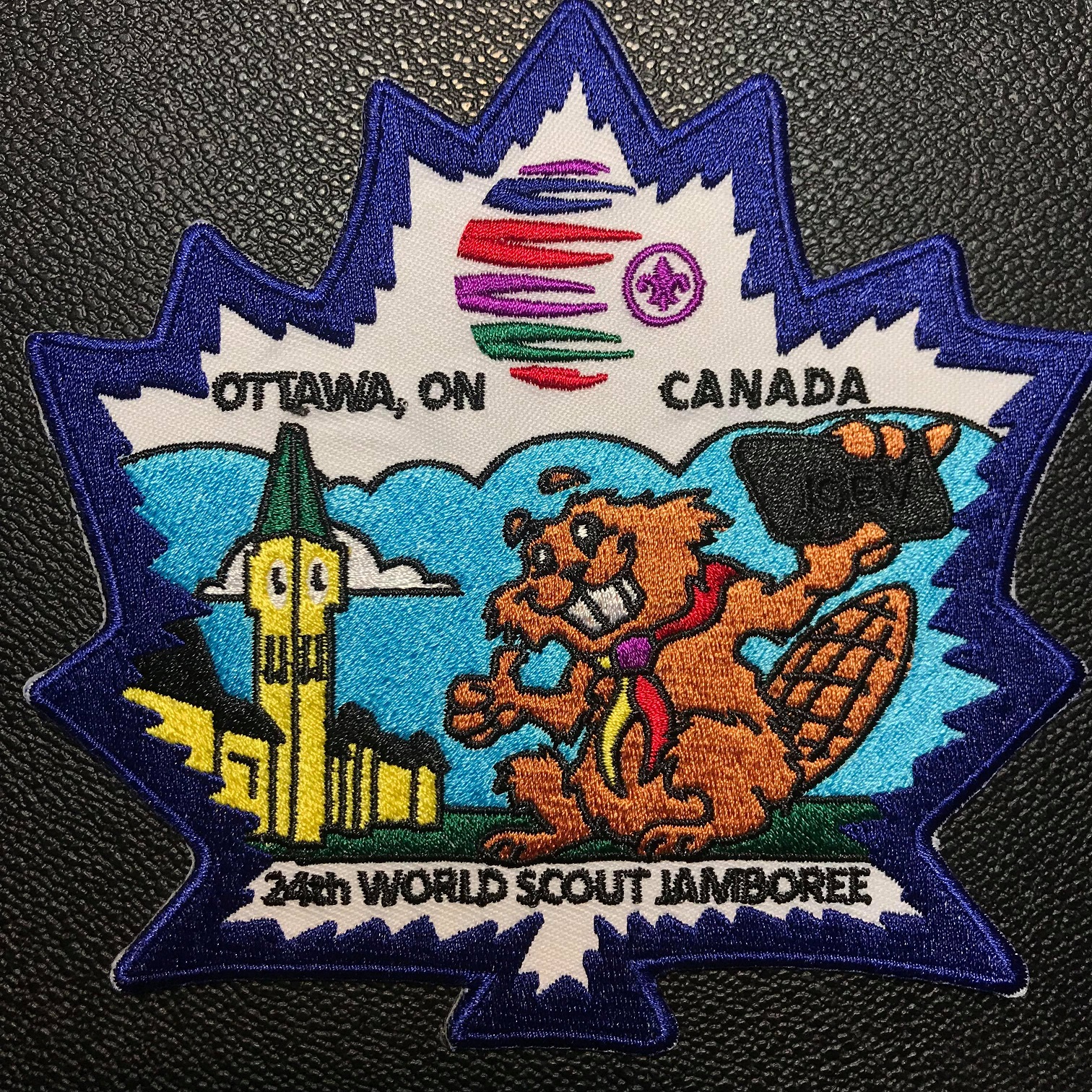 Wild Canadians - Beaver - WSJ19