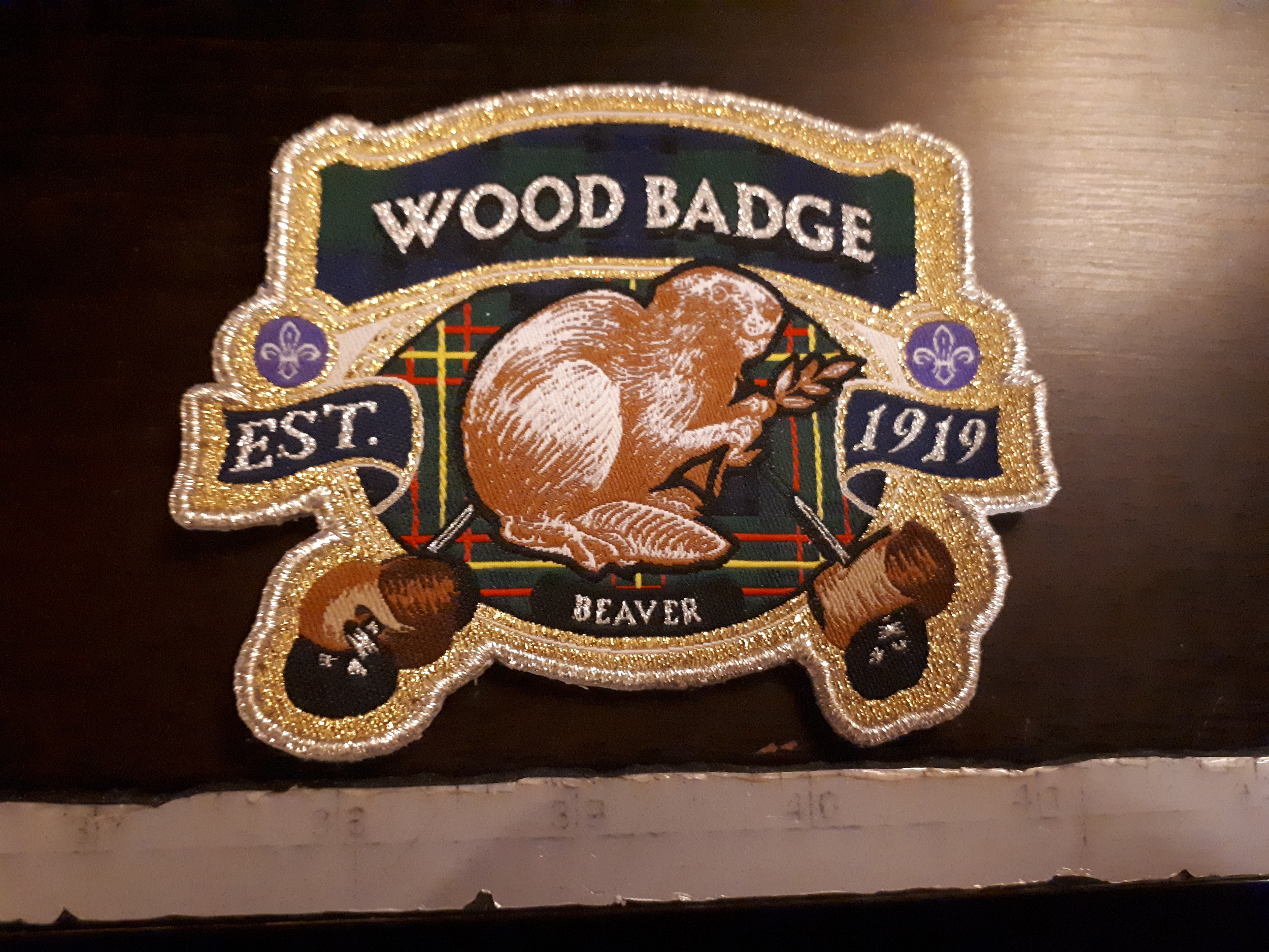 Wood Badge Beaver Baloo's Badge Bin