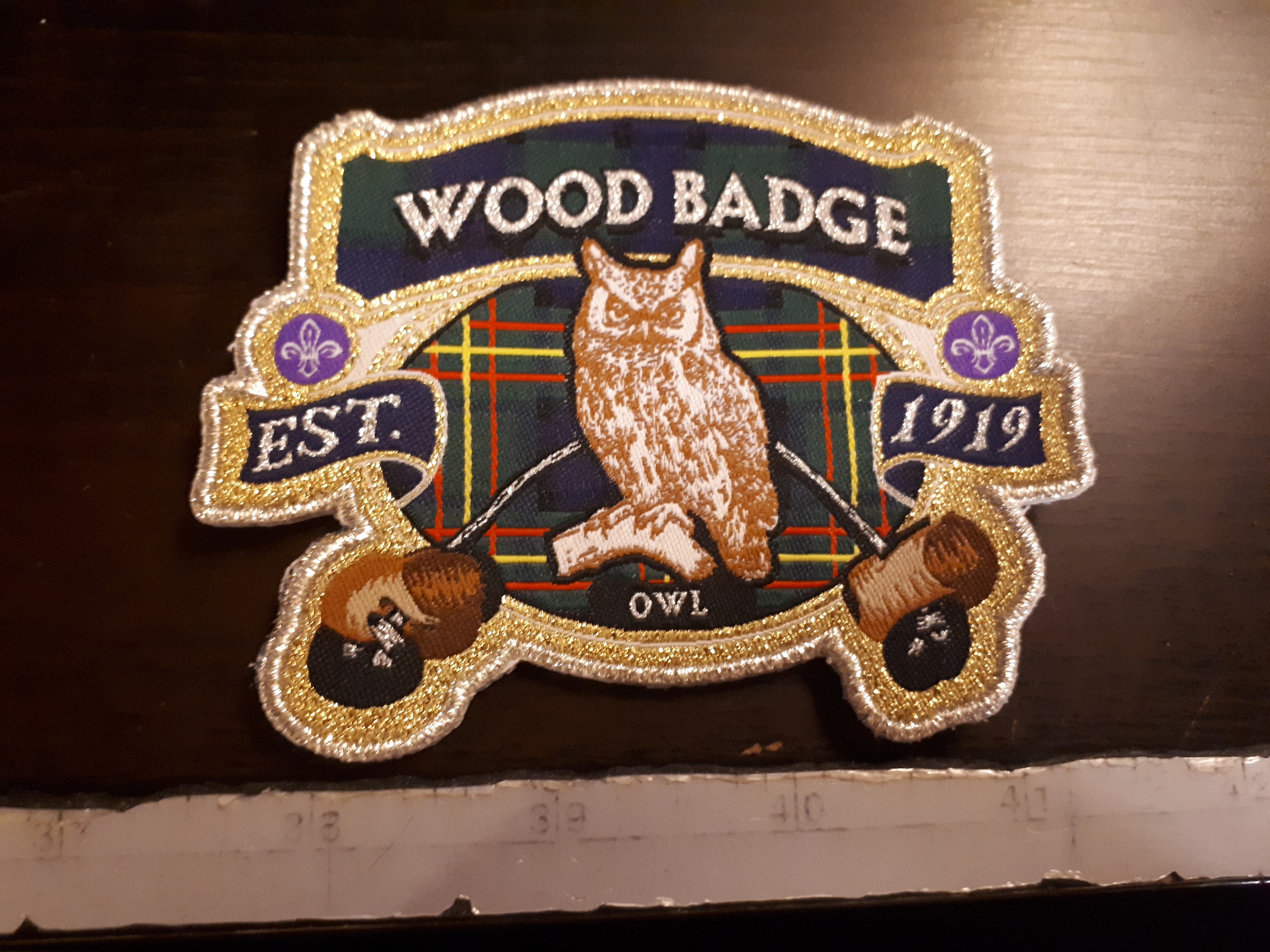 Wood Badge Owl Baloo S Badge Bin