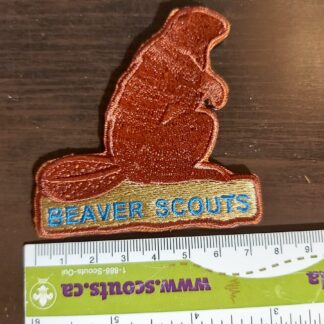 Beaver Scouts