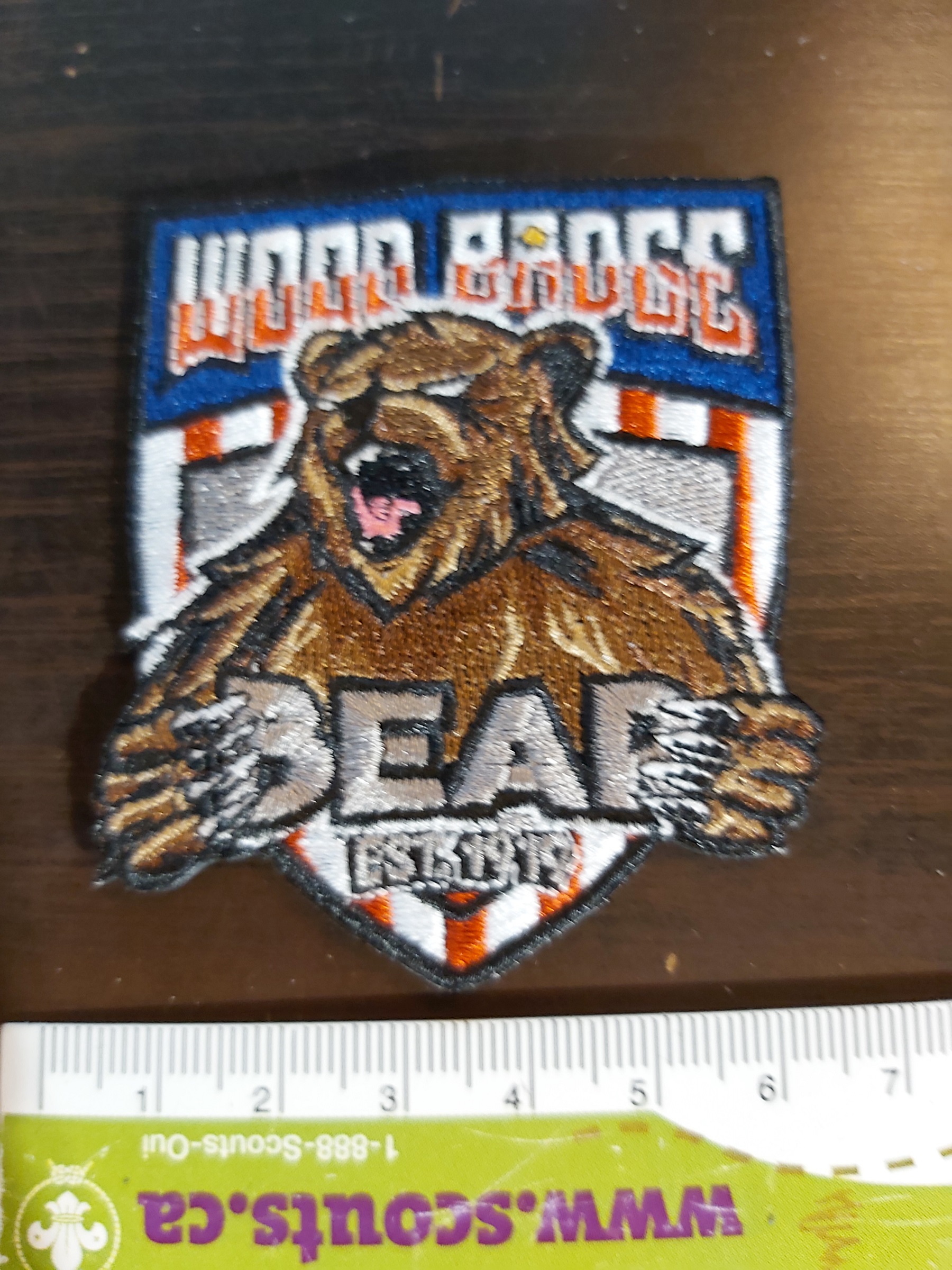Bear