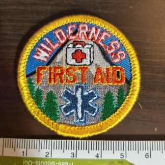 Wilderness First Aid