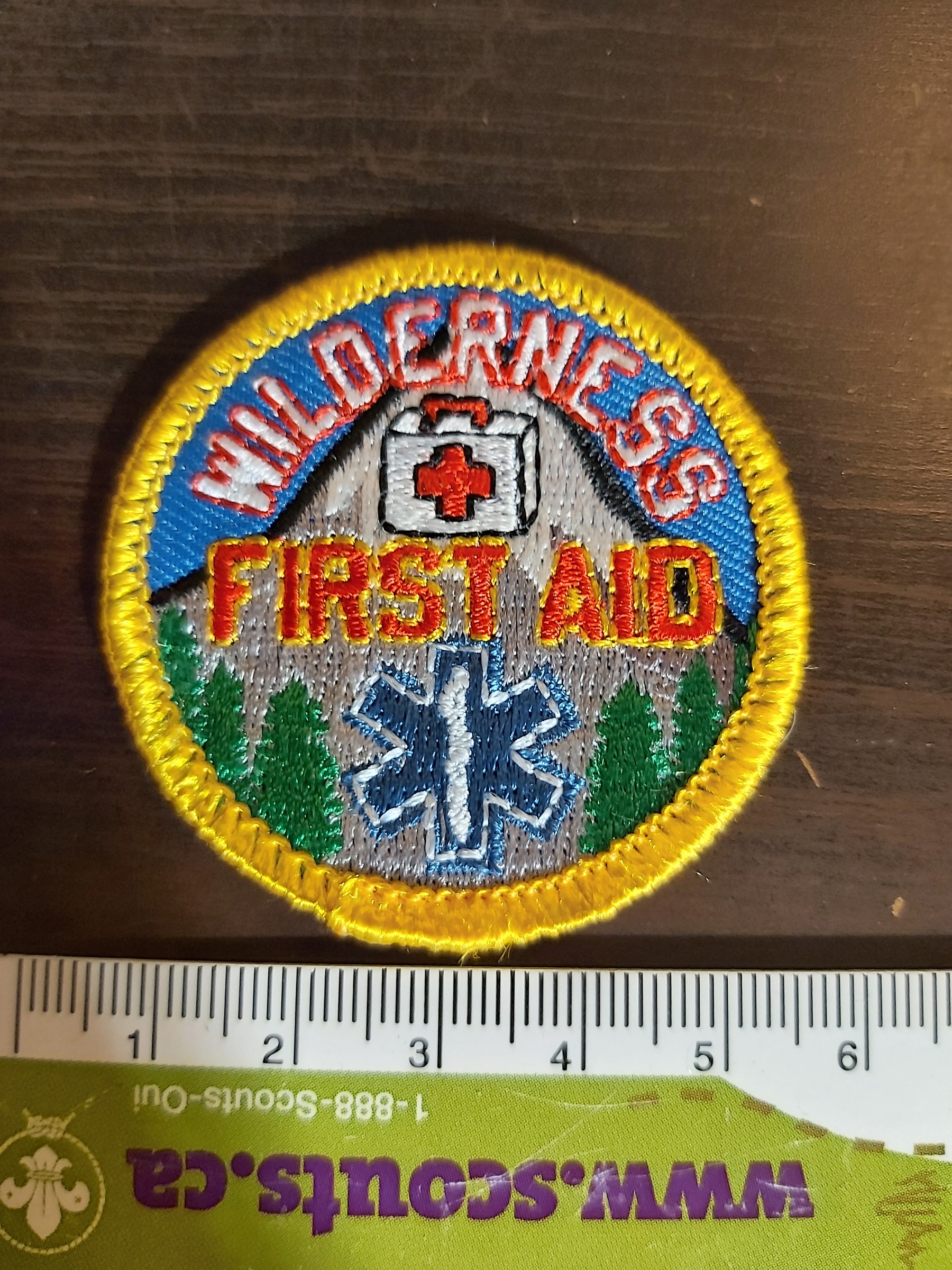 Wilderness First Aid