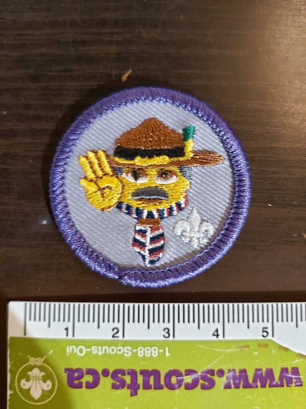 Scouter Emoticon - Baloo's Badge Bin