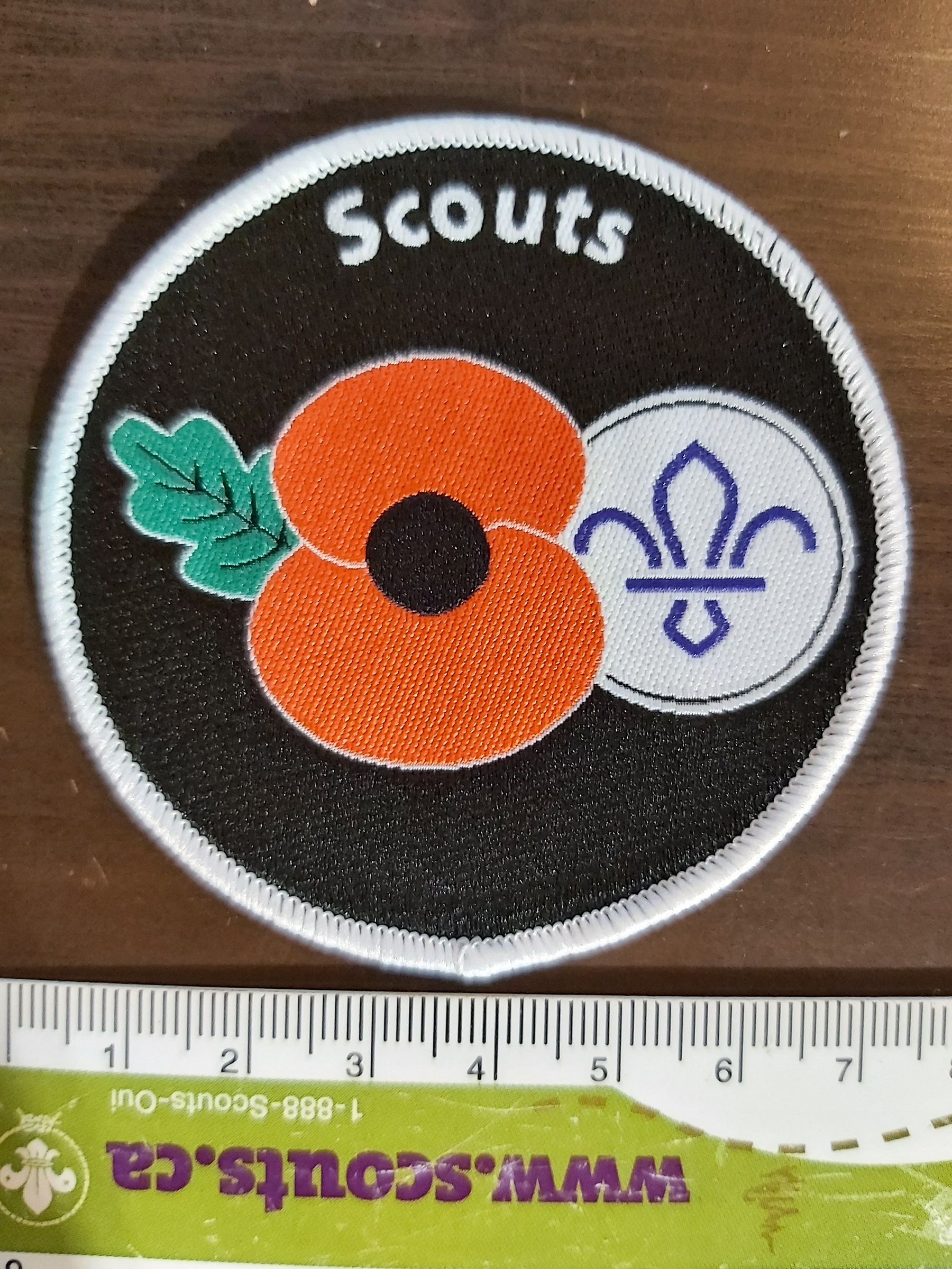 Poppy Scouts