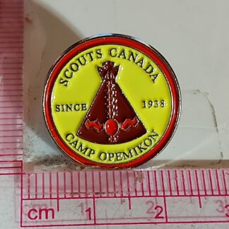 Since 1938 Pin