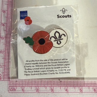 P&S Pin