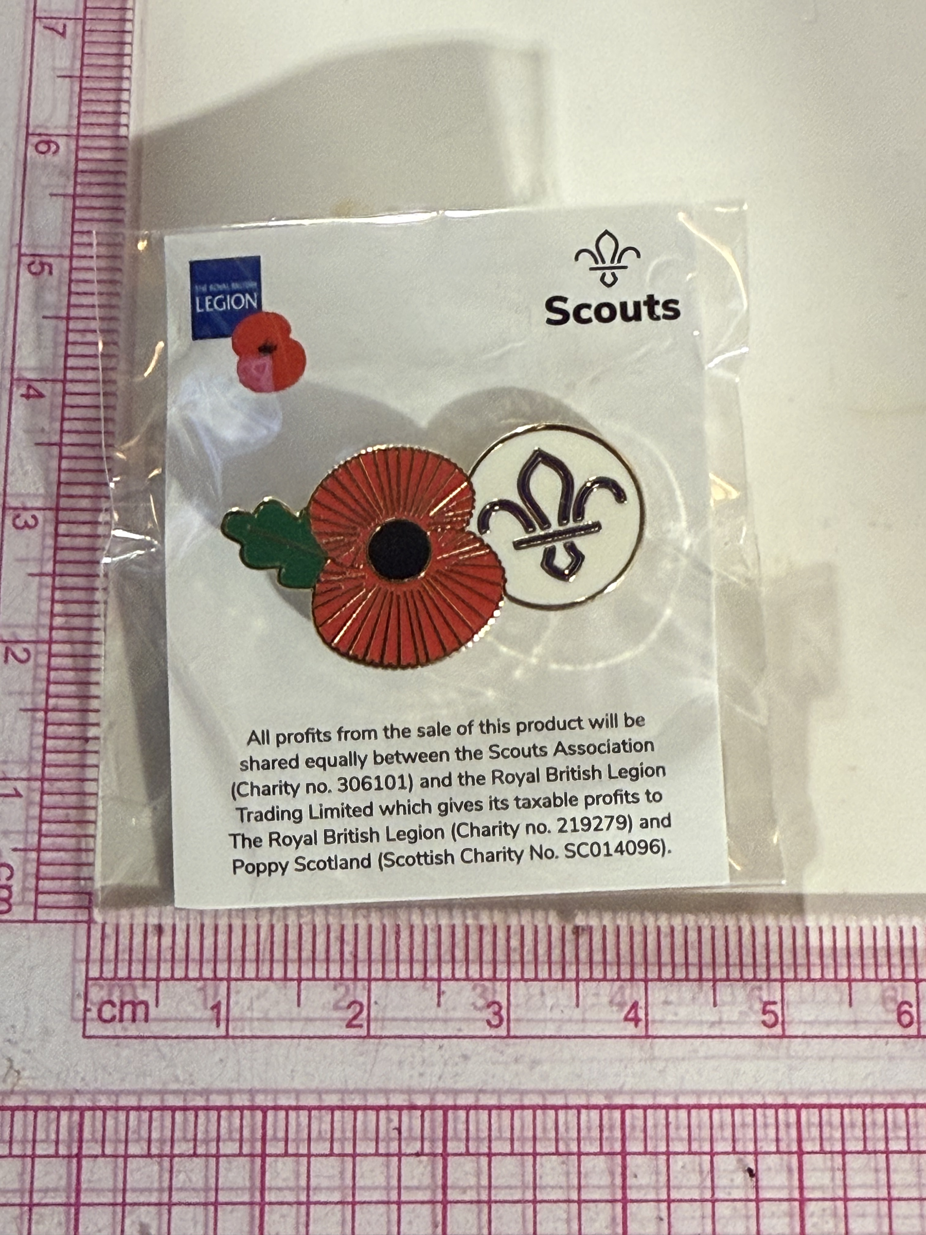 P&S Pin