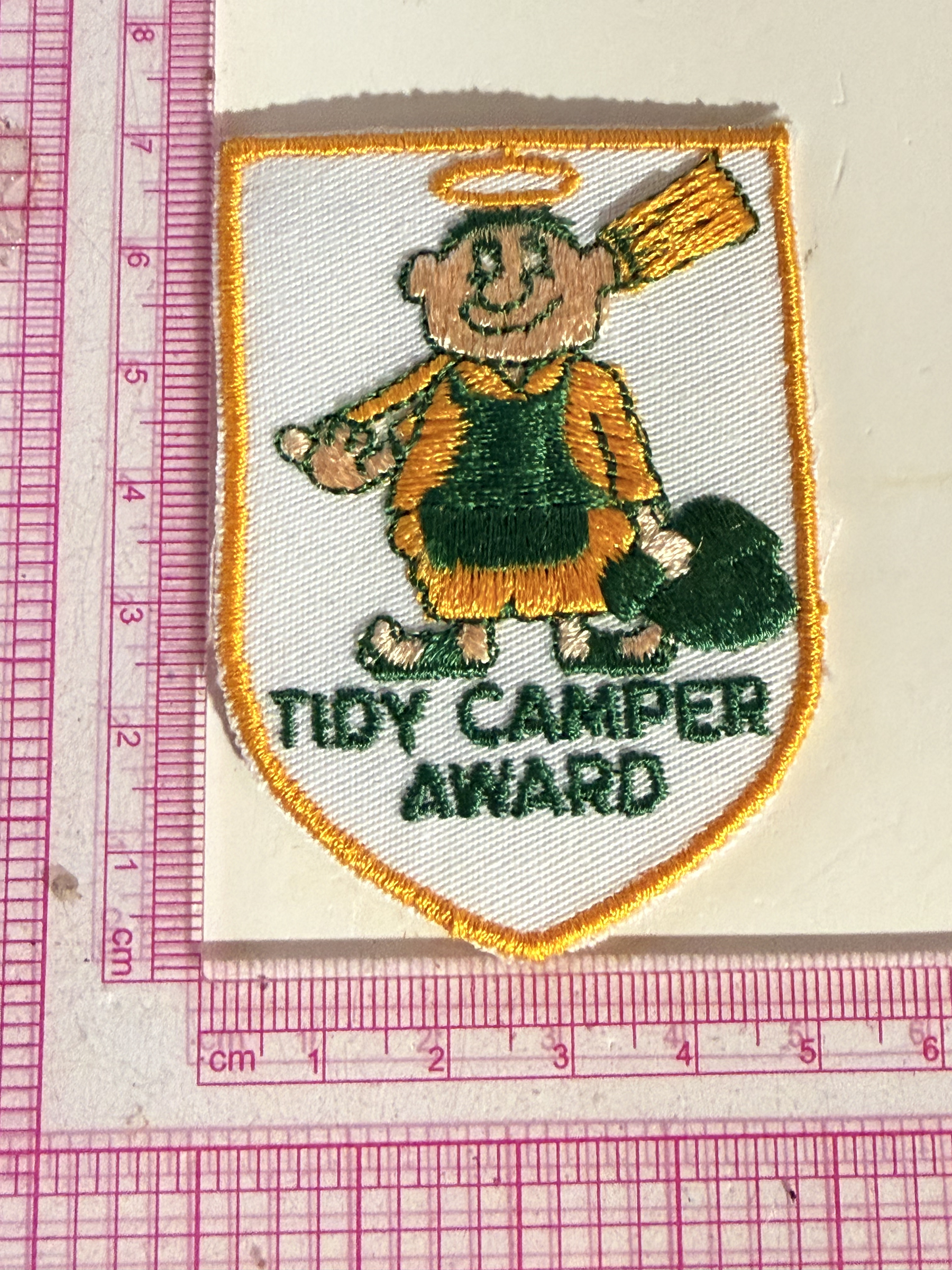 Tidy Camper Award